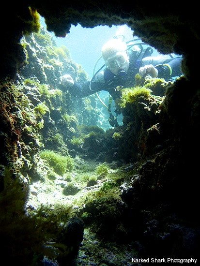 Active Blue Diving Centre Kusadasi
