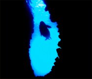 Open Water