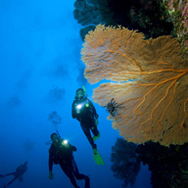 open water