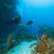 Open Water