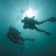 Divers