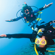 Open Water