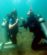 Open Water