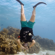 Open Water