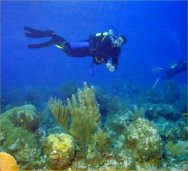 open water
