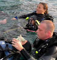 Rescue