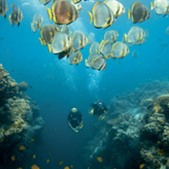 open water