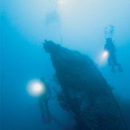 Wreck Diver