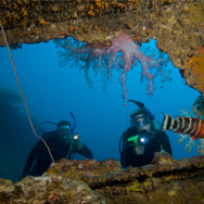 Wreck Diver